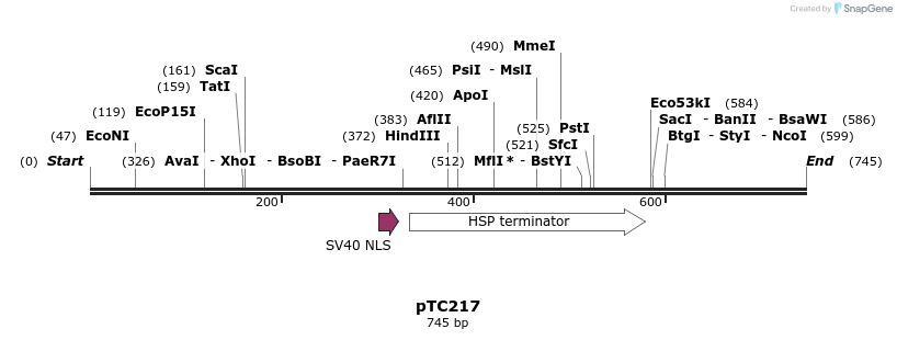 128929_map