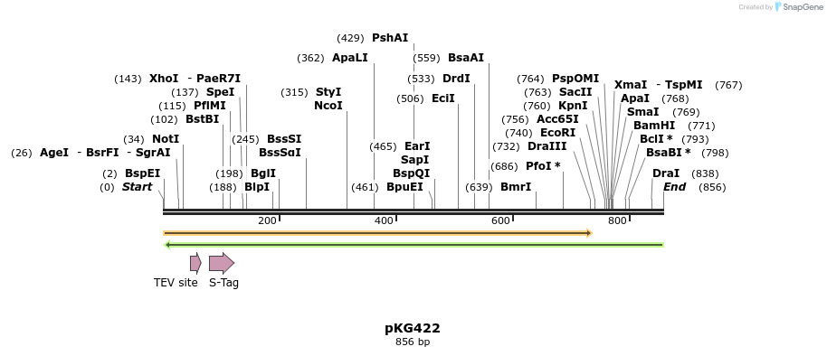 128931_map