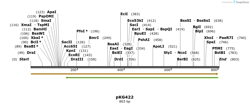 128933_map