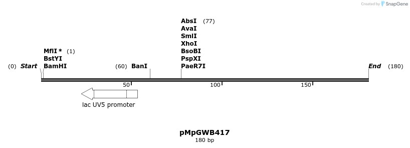 128935_map