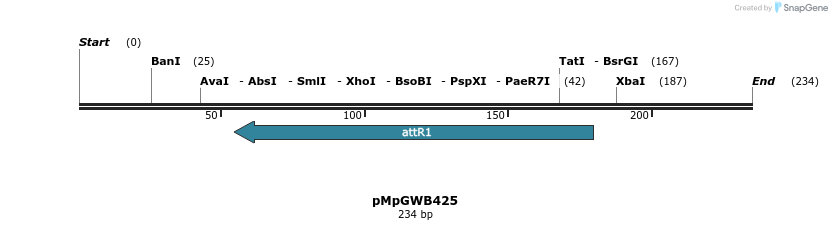 128936_map
