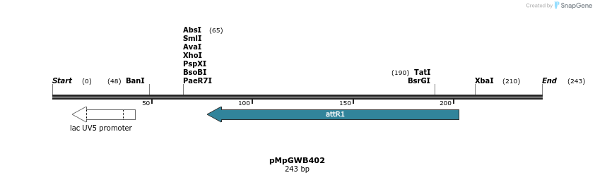 128937_map