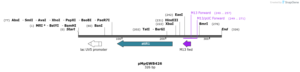 128938_map