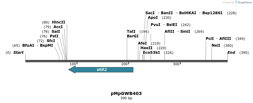 128939_map