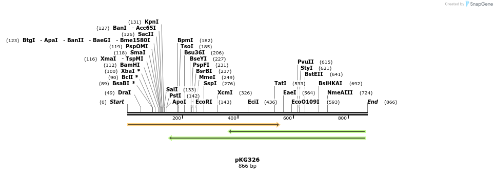 128941_map