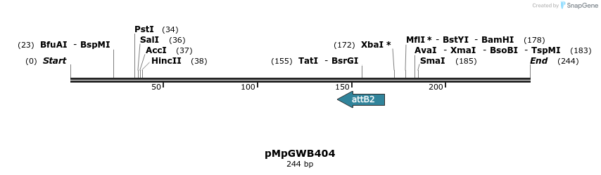 128946_map
