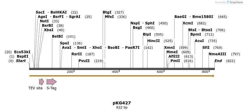 128951_map