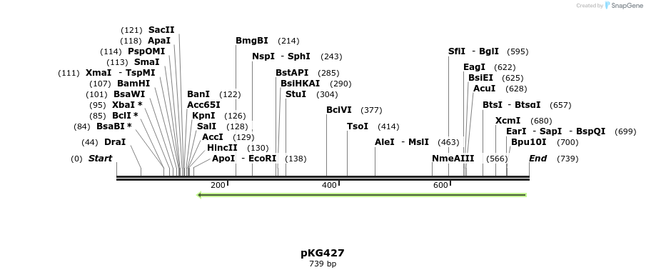 128952_map