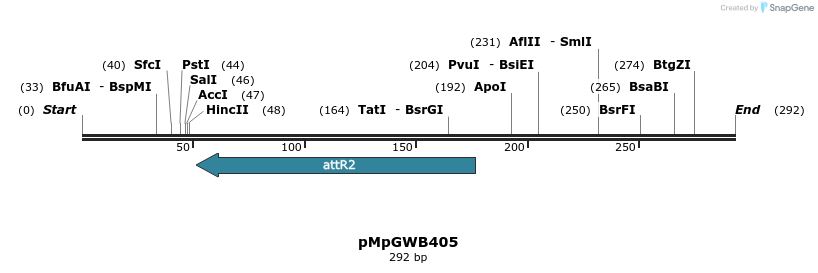 128954_map
