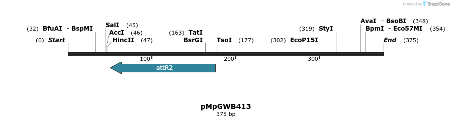 128955_map