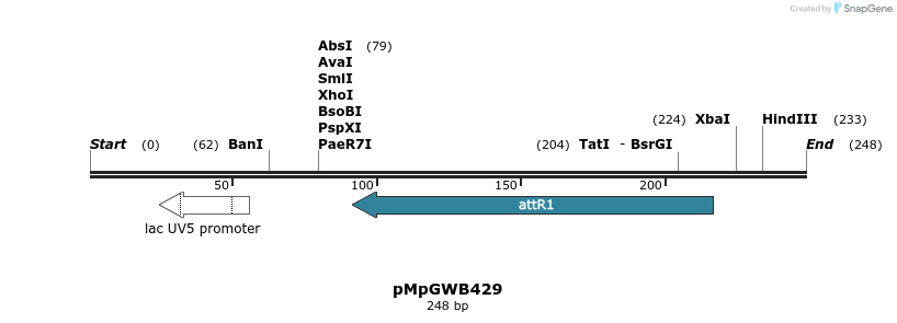 128959_map