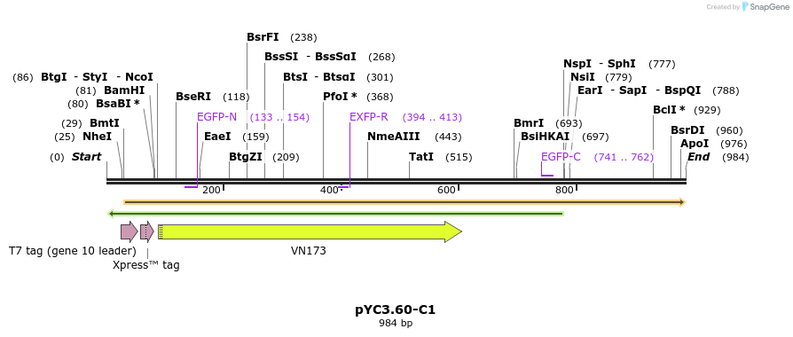 128964_map