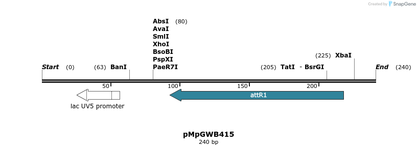 128972_map