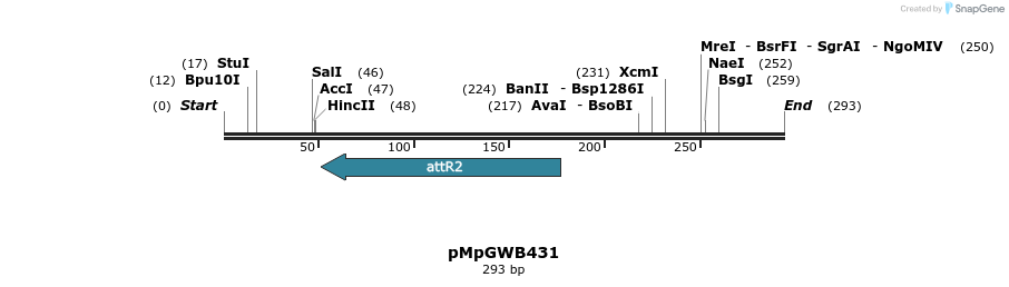 128979_map