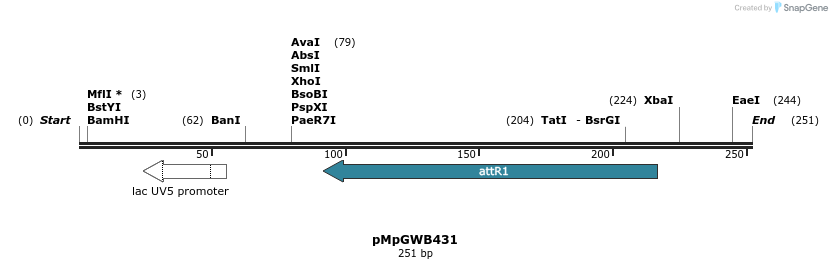 128981_map