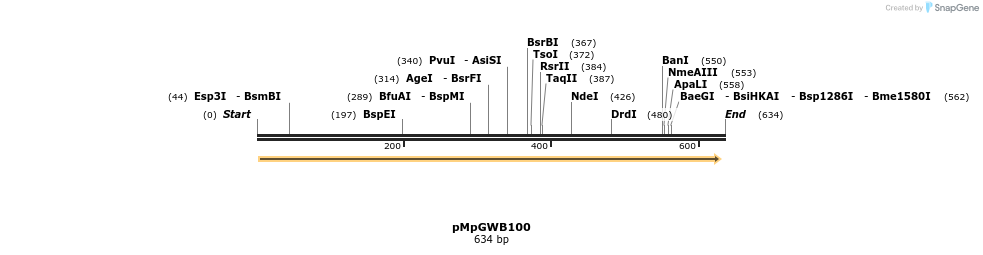 128984_map