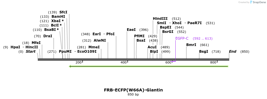 128986_map