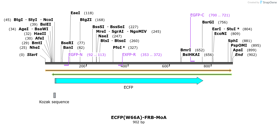 128987_map