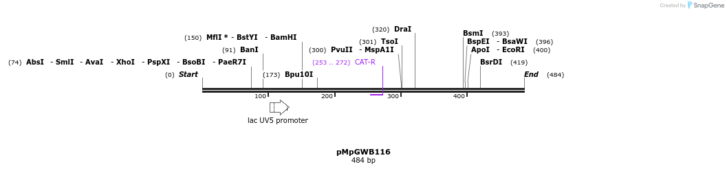 128991_map