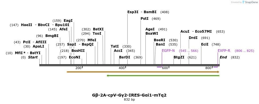 128999_map