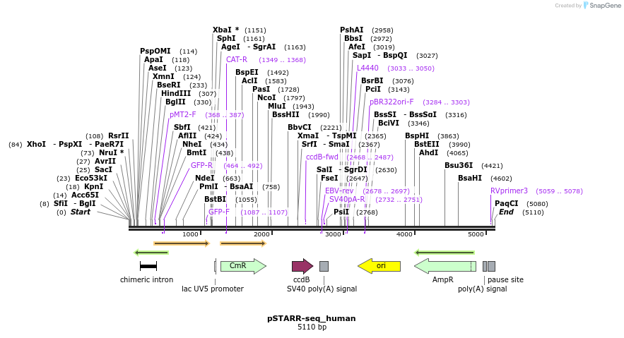 129010_map