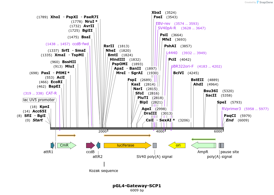 129011_map