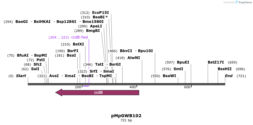 129012_map