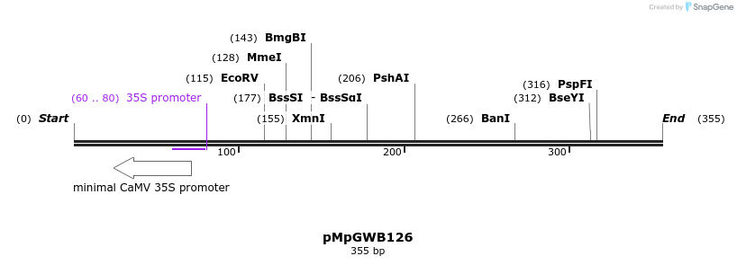 129016_map