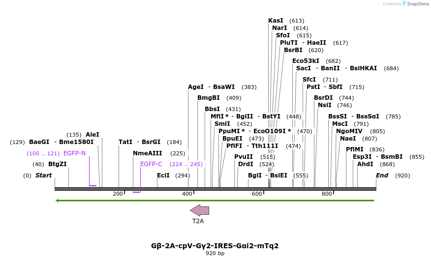129021_map