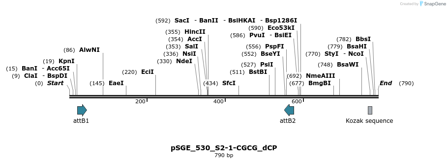 129026_map