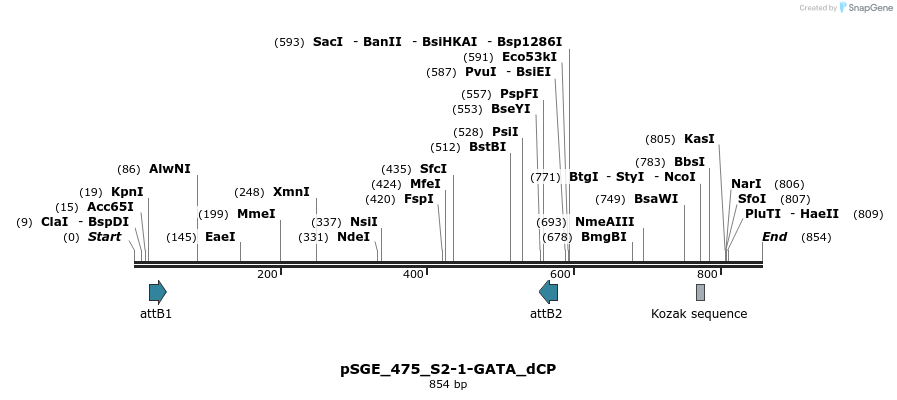 129028_map