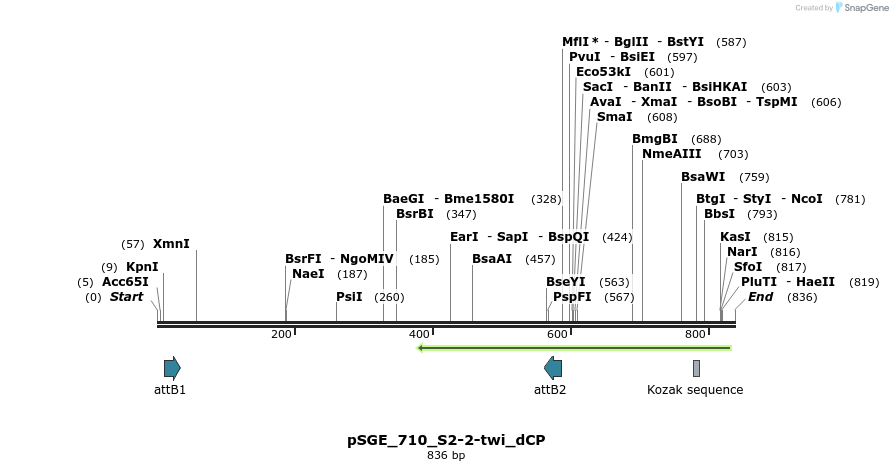 129031_map