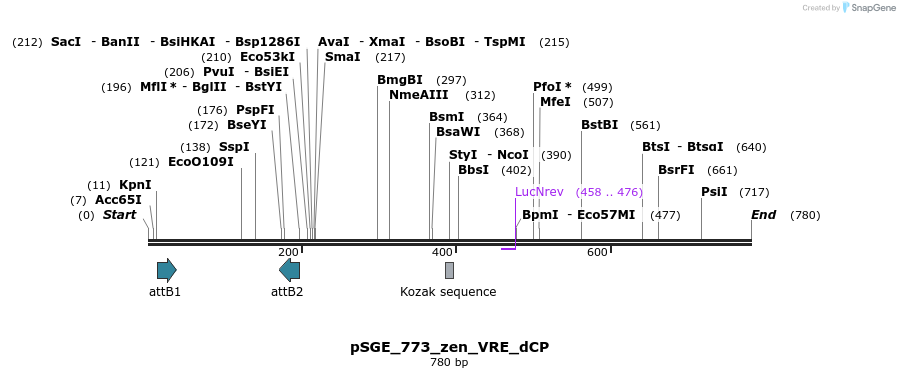 129035_map