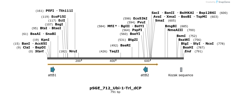 129037_map