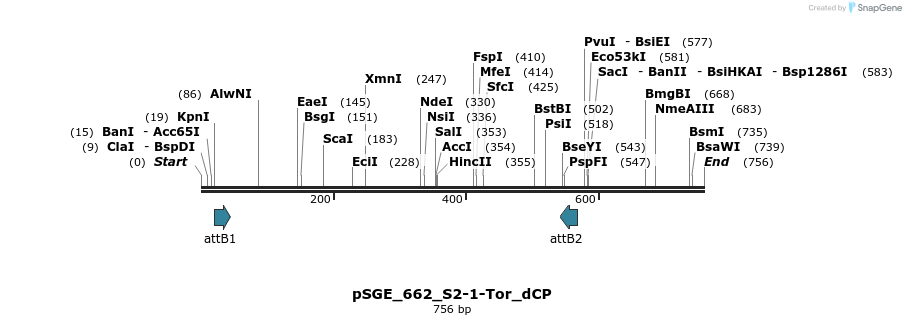129054_map