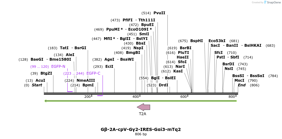 129055_map