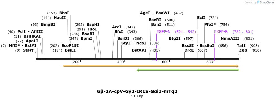 129056_map