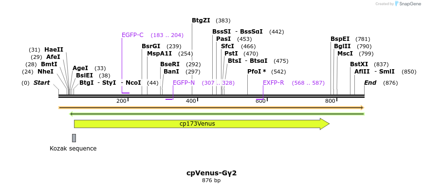 129057_map