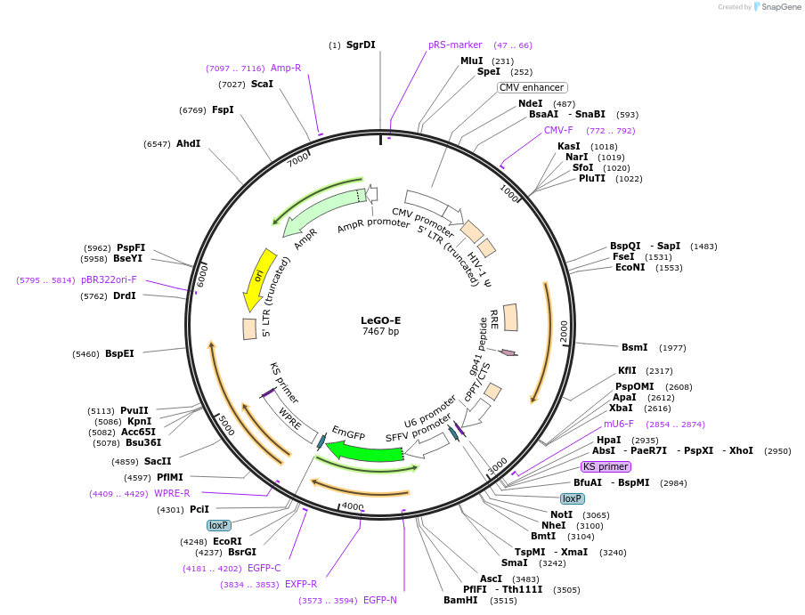 12906_map
