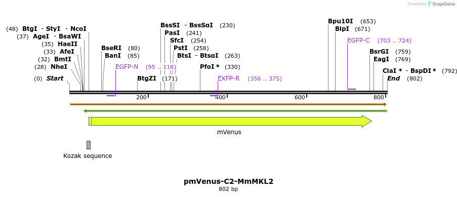 129061_map