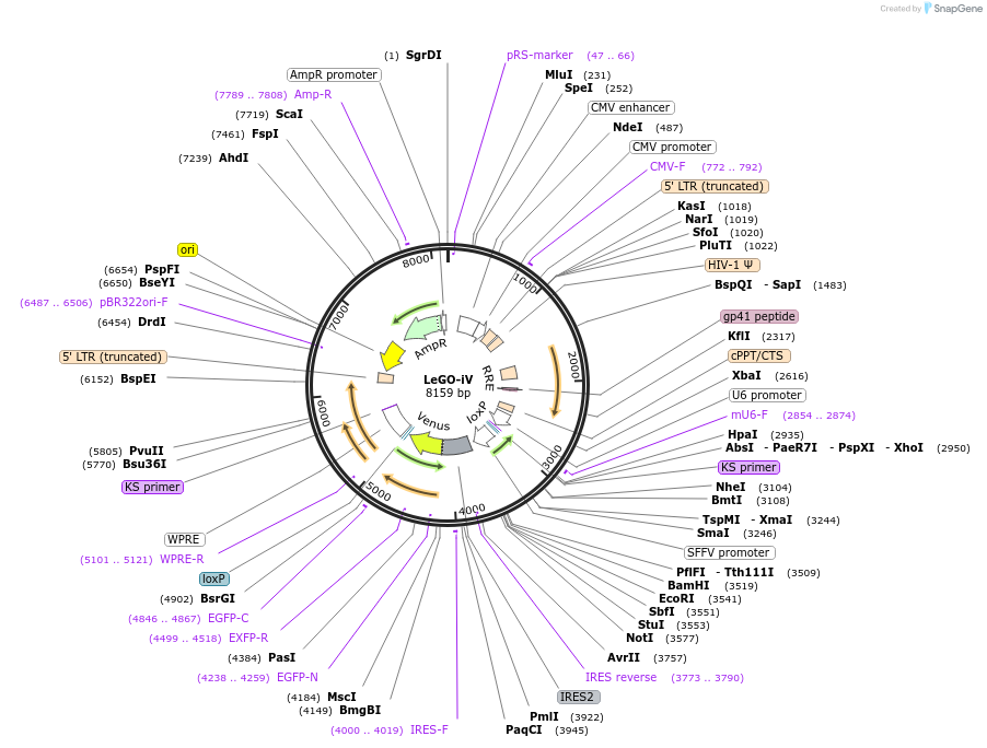 12907_map