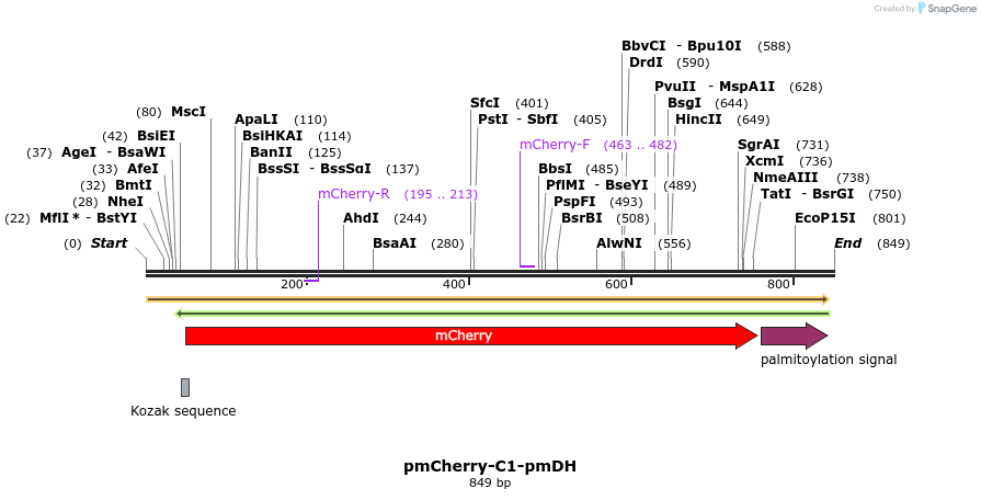 129070_map