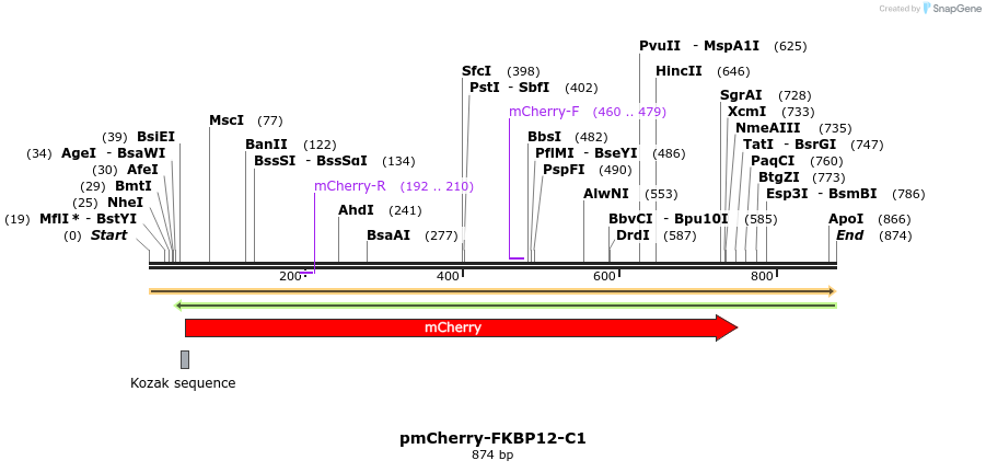 129071_map