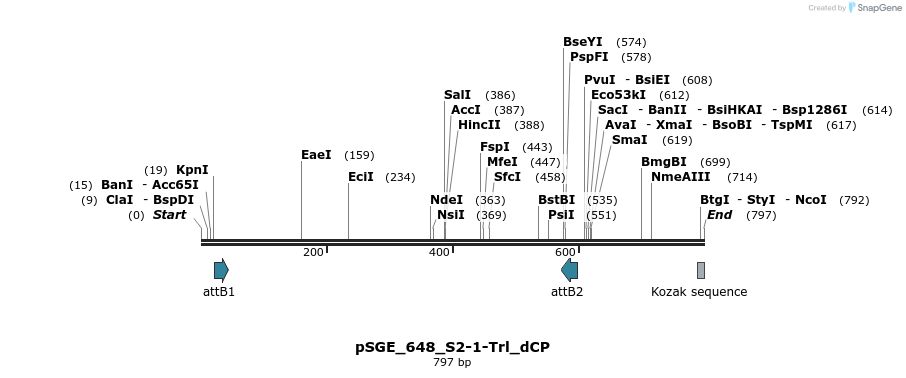 129074_map
