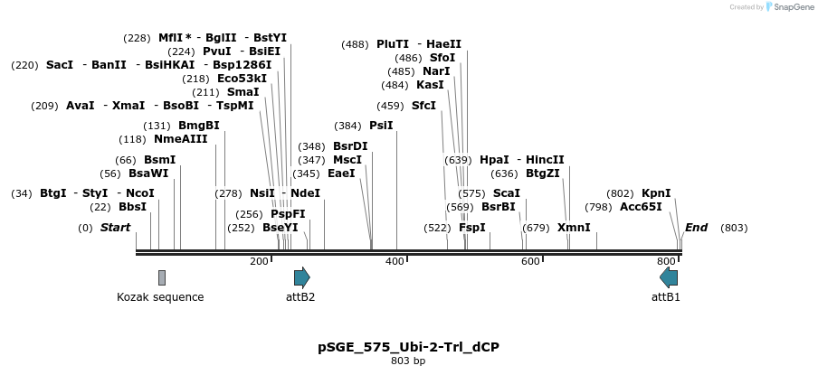 129075_map