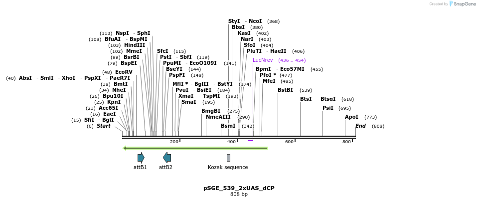 129080_map