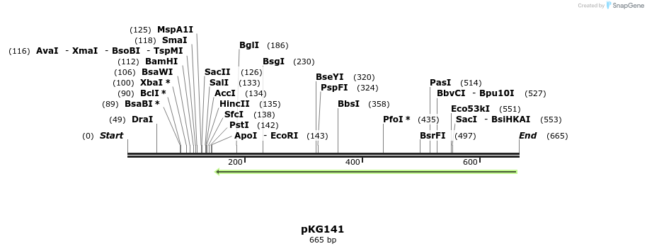 129084_map