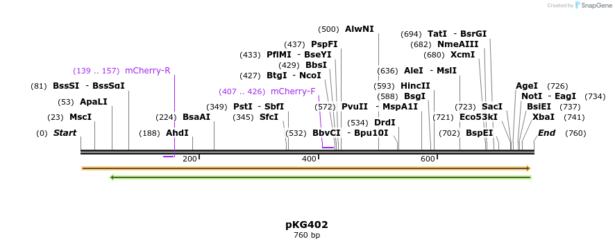 129087_map