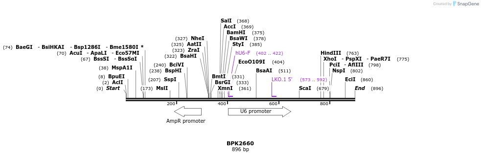 129089_map
