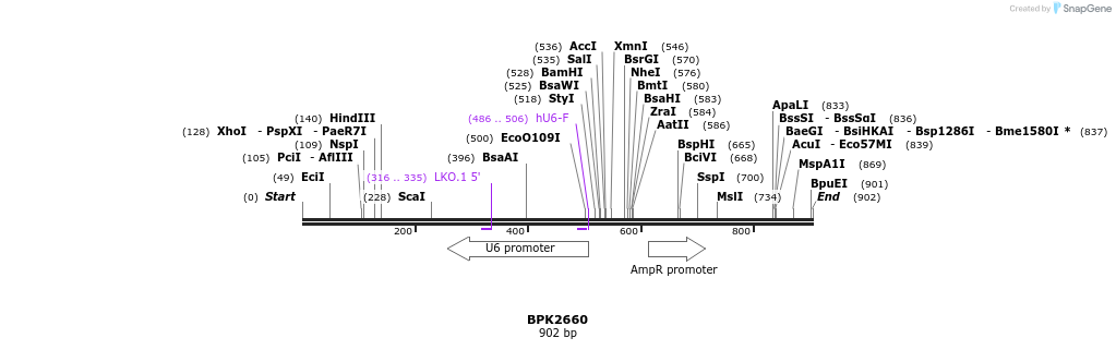 129090_map